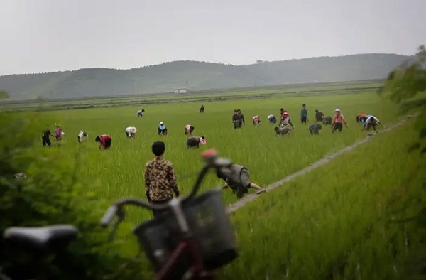 Hé mở cuộc sống bí ẩn của người lao động Triều Tiên-3