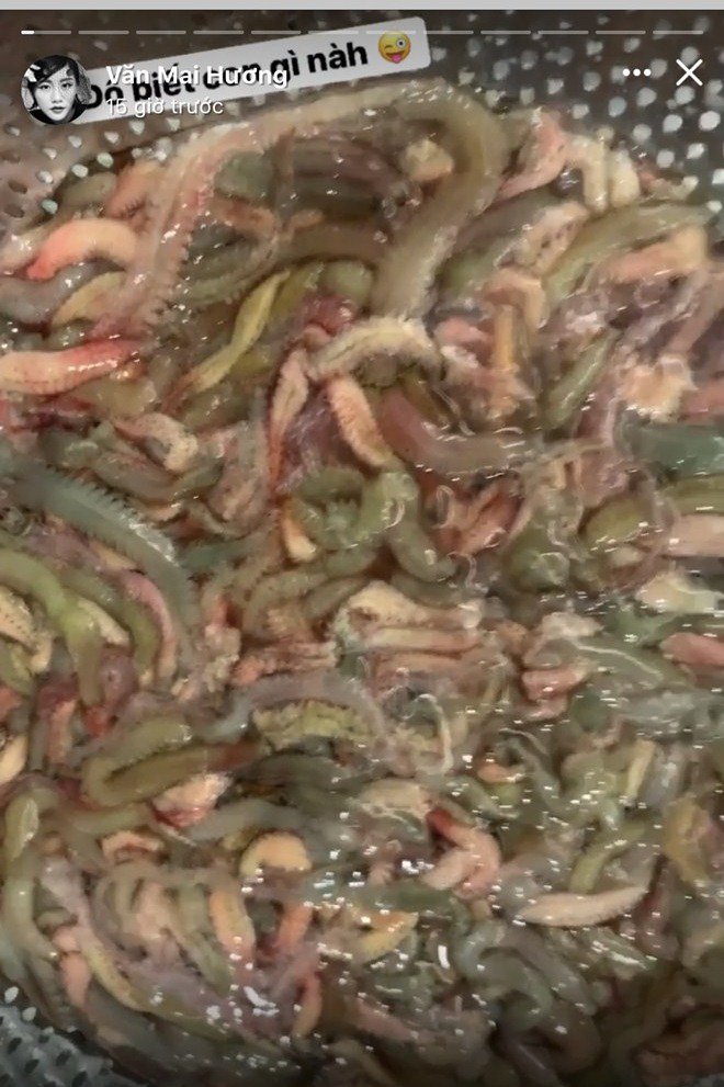Làm món ăn từ con vật khiến nhiều người khiếp sợ, Văn Mai Hương thấy khổ thân hàng xóm-1