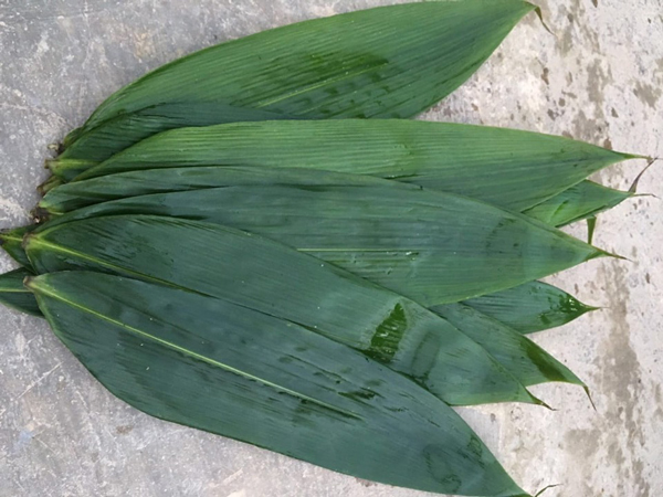 Nhặt lá tre rụng về bán mà thành tỷ phú-1