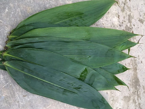 Con trai tỷ phú Philippines qua đời sau nửa tháng giữ chức chủ tịch-2