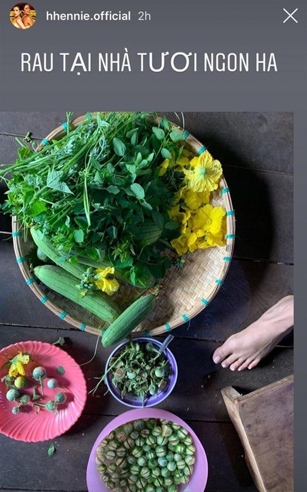 Hoa hậu nghèo nhất Việt Nam chia sẻ mâm cơm, chứng minh bản thân không giản dị-9