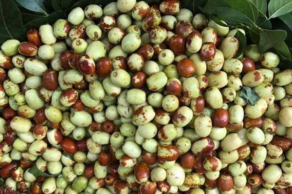 7 loại thực phẩm vàng cho nam giới khỏe mạnh, cường tráng-7