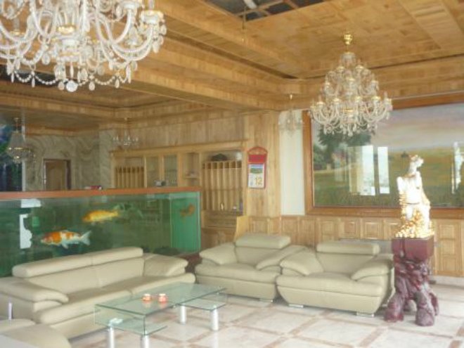 4 đại gia Việt giàu kếch xù, mạnh tay bỏ ra hàng trăm tỷ đồng xây biệt thự dát vàng-9