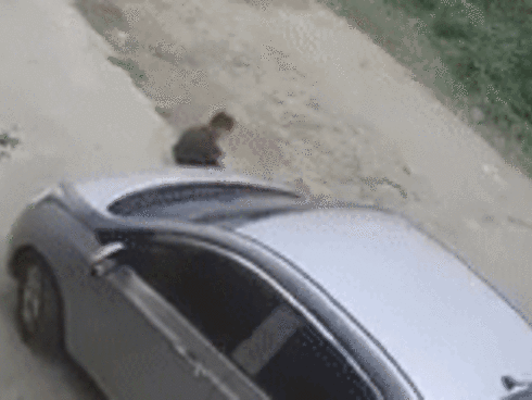 Tuyên bố Mẹ không đẻ, thì con đẻ của bé trai 4 tuổi khiến dân mạng cười nghiêng ngả-1