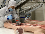 Loại thịt lợn Việt đắt gấp 2 bò Mỹ, trước chê bỏ rẻ, nay sốt lùng khắp chợ-3