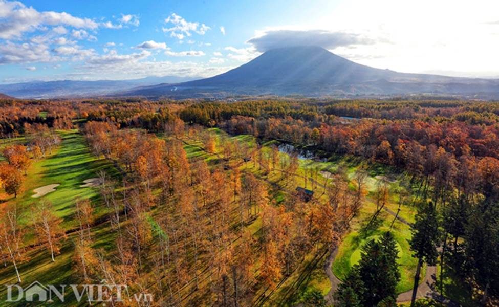Hình ảnh mùa thu vàng tuyệt đẹp trên hòn đảo Hokkaido-1