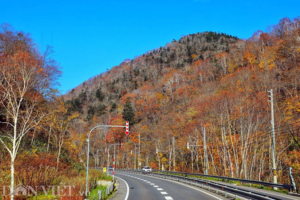 Hình ảnh mùa thu vàng tuyệt đẹp trên hòn đảo Hokkaido-5