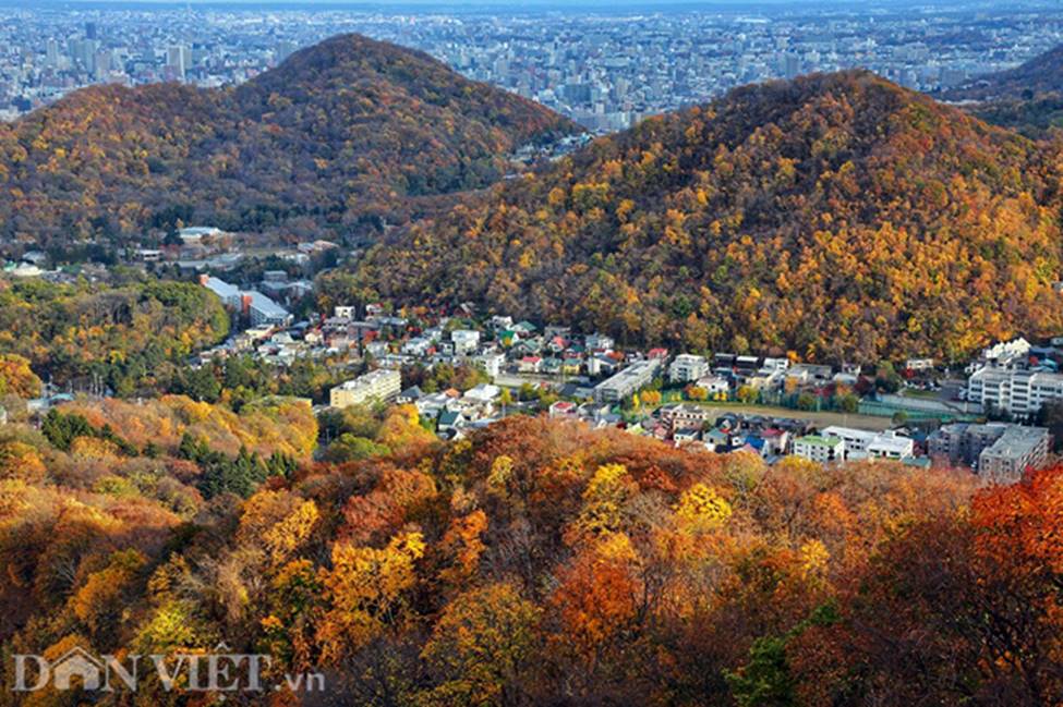 Hình ảnh mùa thu vàng tuyệt đẹp trên hòn đảo Hokkaido-8