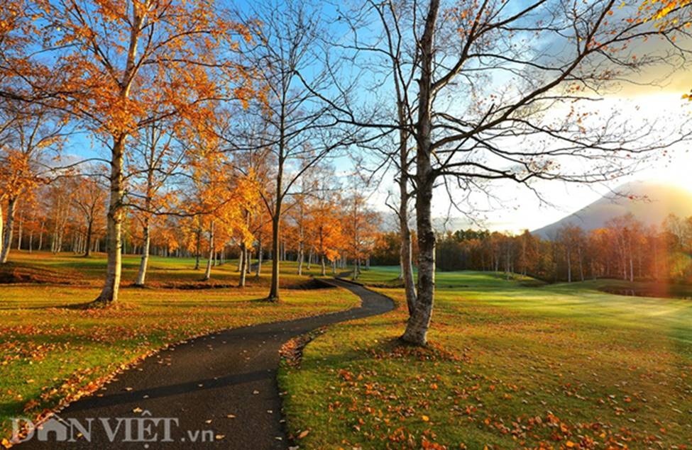 Hình ảnh mùa thu vàng tuyệt đẹp trên hòn đảo Hokkaido-9