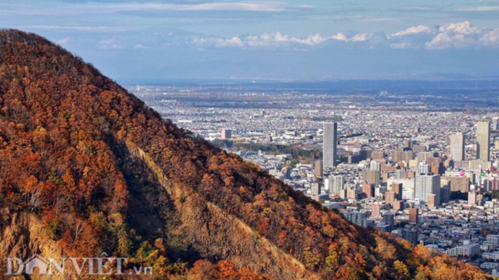 Hình ảnh mùa thu vàng tuyệt đẹp trên hòn đảo Hokkaido-12