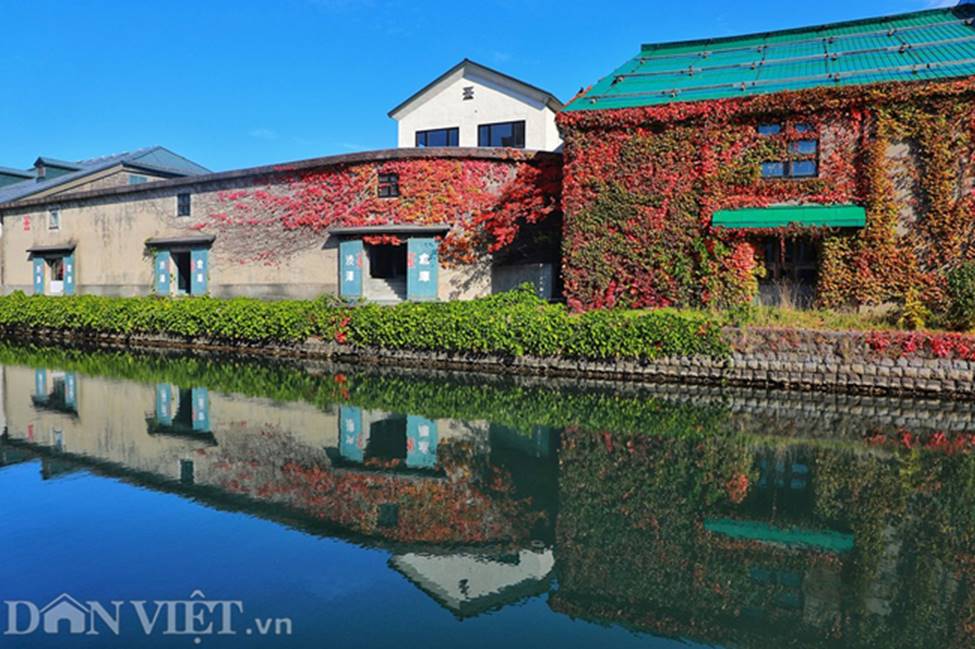 Hình ảnh mùa thu vàng tuyệt đẹp trên hòn đảo Hokkaido-15