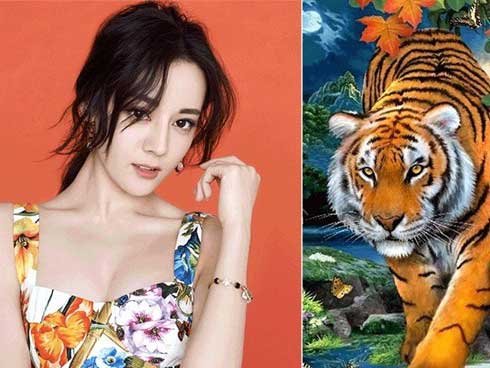 Chọn đúng những màu này sẽ giúp người tuổi Tuất xóa bỏ vận xui-3