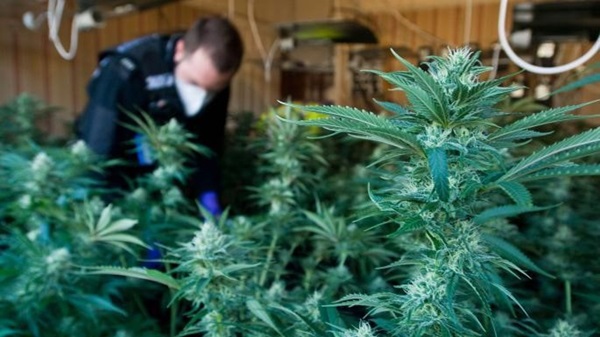 Người Việt nhịn ăn, uống tuyết để vượt biên rồi vỡ mộng tại Anh-3