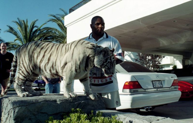 Mike Tyson nuôi hổ dữ 250kg: Choáng váng chi phí 53 tỷ đồng cho thú cưng-1