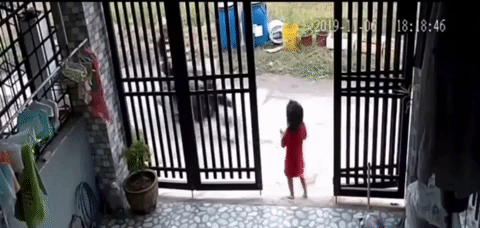 Thấy bé gái cầm điện thoại di động đứng 1 mình trước cửa, người phụ nữ đi vào tận nhà cướp-1