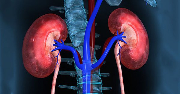 Điều khiến Tim, Gan, Lách, Phổi, Thận sợ nhất: Người nào biết bảo vệ thì thân vô bệnh-5