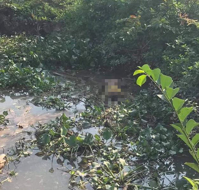 Tìm thấy thi thể người phụ nữ ôm con nhảy cầu tự tử ở Hải Phòng-1