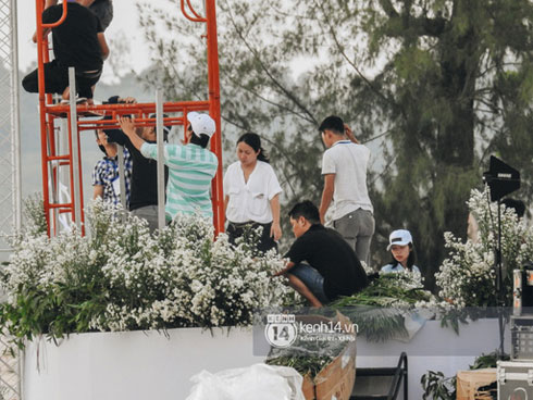 Đột nhập địa điểm diễn ra lễ cưới của Đông Nhi - Ông Cao Thắng: Hoa phủ kín, ánh sáng lên tạo không gian cổ tích giữa biển-8