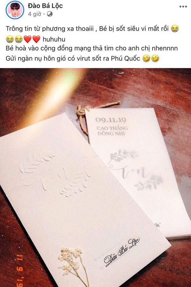 Dàn sao Việt lỡ hẹn siêu đám cưới Đông Nhi - Ông Cao Thắng: Đào Bá Lộc bất ngờ sốt siêu vi, Bảo Anh, Sam vướng bận lịch trình biểu diễn-4