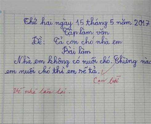 Những bài văn điểm 0, điểm 1 vẫn hút nghìn like: Bố em thấy chân dài là bảo ngon ngon-4