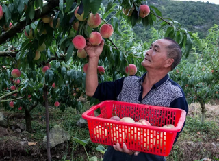 Cụ ông 70 tuổi mắc ung thư gan vẫn sống khỏe nhờ một bát súp và chú ý 2 việc-1