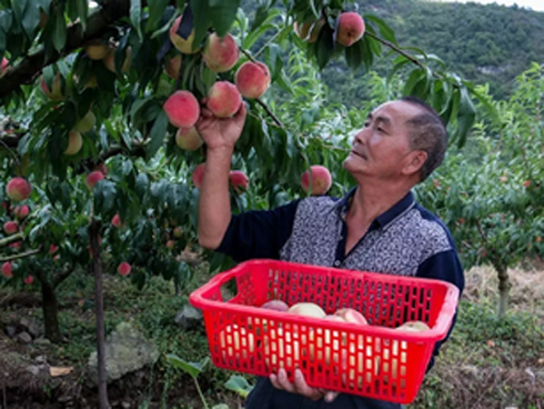 Cụ ông 70 tuổi mắc ung thư gan vẫn sống khỏe nhờ một bát súp và chú ý 2 việc