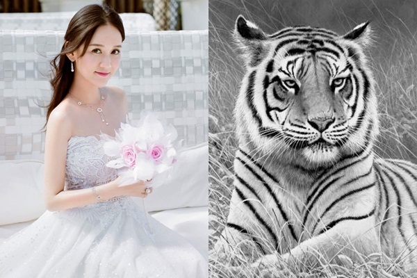 3 con giáp phải kết hôn mới mau giàu có, gia đình hòa thuận, hạnh phúc cả đời-1