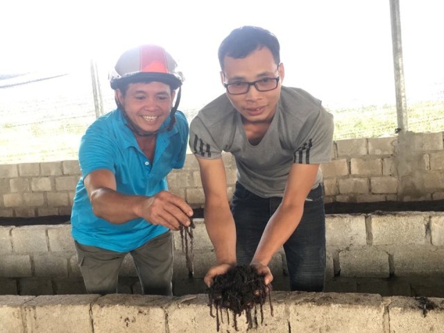 Cất bằng kỹ sư cơ khí, 8X về quê nghịch phân bò, lời 50 triệu/tháng-1