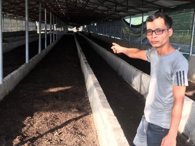 Cất bằng kỹ sư cơ khí, 8X về quê nghịch phân bò, lời 50 triệu/tháng-2