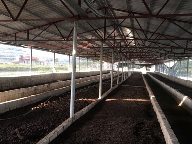 Cất bằng kỹ sư cơ khí, 8X về quê nghịch phân bò, lời 50 triệu/tháng-3