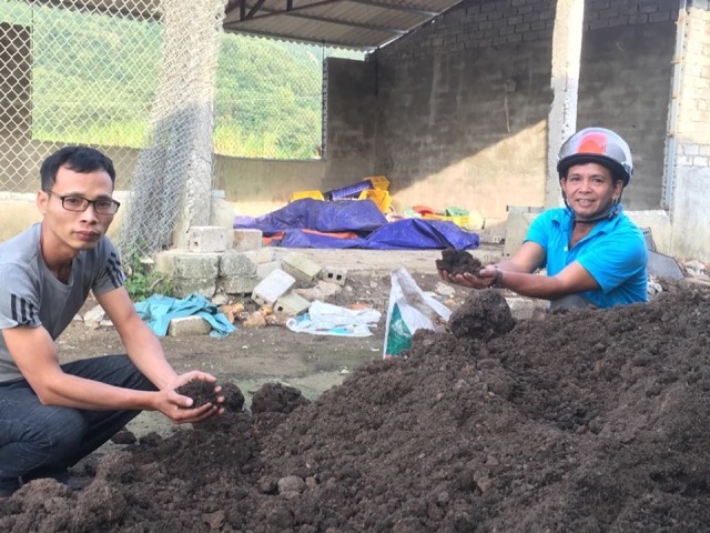 Cất bằng kỹ sư cơ khí, 8X về quê nghịch phân bò, lời 50 triệu/tháng-5