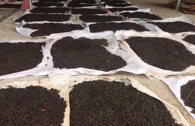 Cất bằng kỹ sư cơ khí, 8X về quê nghịch phân bò, lời 50 triệu/tháng-7