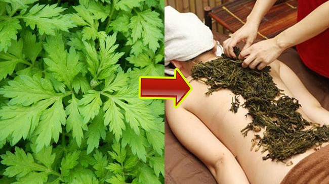 Cứ đau đầu khi giao mùa, nhiều người lại nhanh trí ăn ngay món rau này và tác dụng của loại rau đó còn ưu việt hơn thế!-2