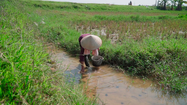 Bà Tân Vlog tuyên bố thay đổi cách làm clip, ai ngờ lại bị dân mạng soi đi sao chép ý tưởng của kênh ẩm thực nổi tiếng khác-5