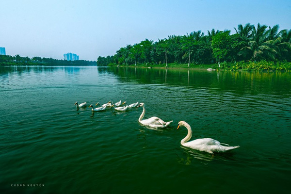 Vẻ đẹp khó cưỡng của các siêu biệt thự triệu đô Ecopark-1