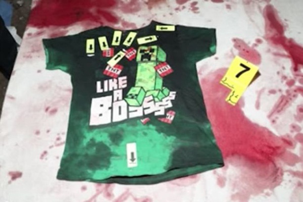 Cậu bé 6 tuổi bị mẹ truy sát bằng dao và súng, khi cảnh sát đến nơi đã thấy hiện trường đẫm máu kinh hoàng-1