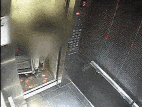 Vụ cô gái trẻ bị bạn trai quen qua mạng giết chết: Tiết lộ đoạn clip nghi phạm bình thản mang vali chứa thi thể nạn nhân đi phi tang-1