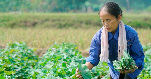 Sau Ẩm thực mẹ làm, bà Tân Vlog tiếp tục bị soi làm clip giống Lý Tử Thất của Trung Quốc?-2