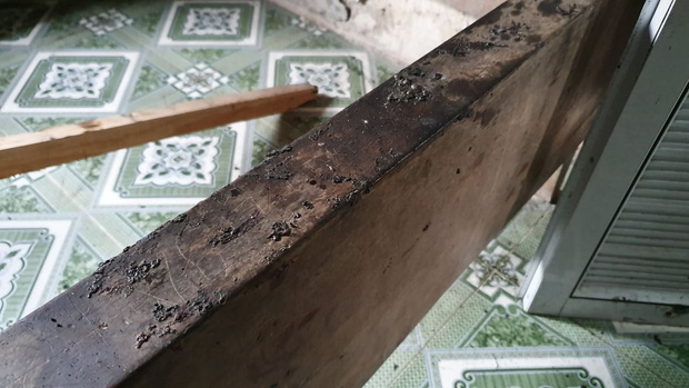 Người chồng sát hại, đốt xác vợ rồi nói với ông: Ông ơi, cháu giết vợ cháu rồi, ông báo công an đi-4