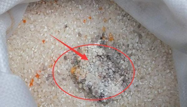 5 loại thực phẩm này nếu có trong nhà nên vứt ngay, dù đun sôi vẫn độc chết người-1