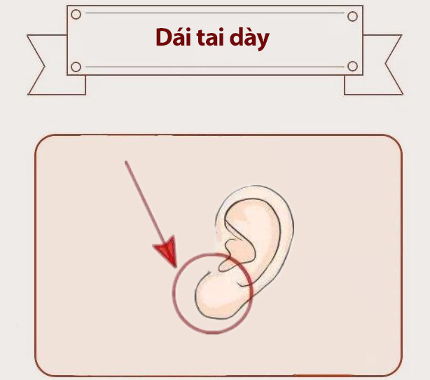 Phụ nữ sở hữu phúc tướng này, vừa tài giỏi lại vừa khí chất, sau khi kết hôn gia đạo hưng vượng, chồng con thành danh thành tài-3