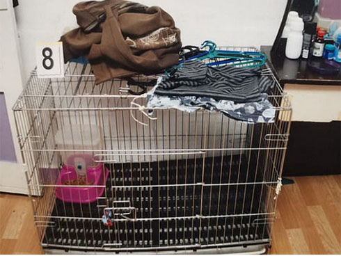 Vụ cô gái trẻ bị bạn trai quen qua mạng giết và chôn xác: Hung thủ có sở thích bệnh hoạn, cuối cùng cũng bị buộc tội giết người-9