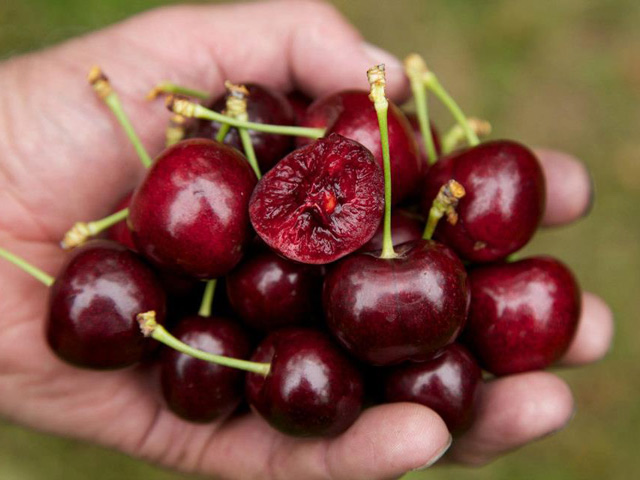 Chỉ cần ăn 5 loại thực phẩm này đều đặn mỗi sáng, ung thư ruột kết nguy hiểm cũng lánh xa” bạn-3