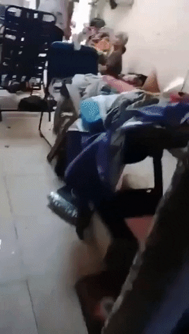 Nghi vấn cháu trai đánh đập, chửi bới cụ bà dã man mặc cho bà kêu cứu-1