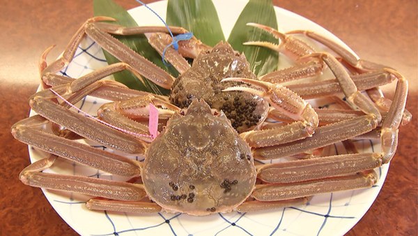 Vào mùa ngay lập tức cua tuyết được giới tiêu dùng săn lùng, mua ngót nghét vài triệu bạc vẫn được yêu thích-1