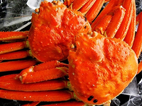 Bí mật loại thịt gà lạ chuyên nấu giả cầy gây sốt khắp chợ-3