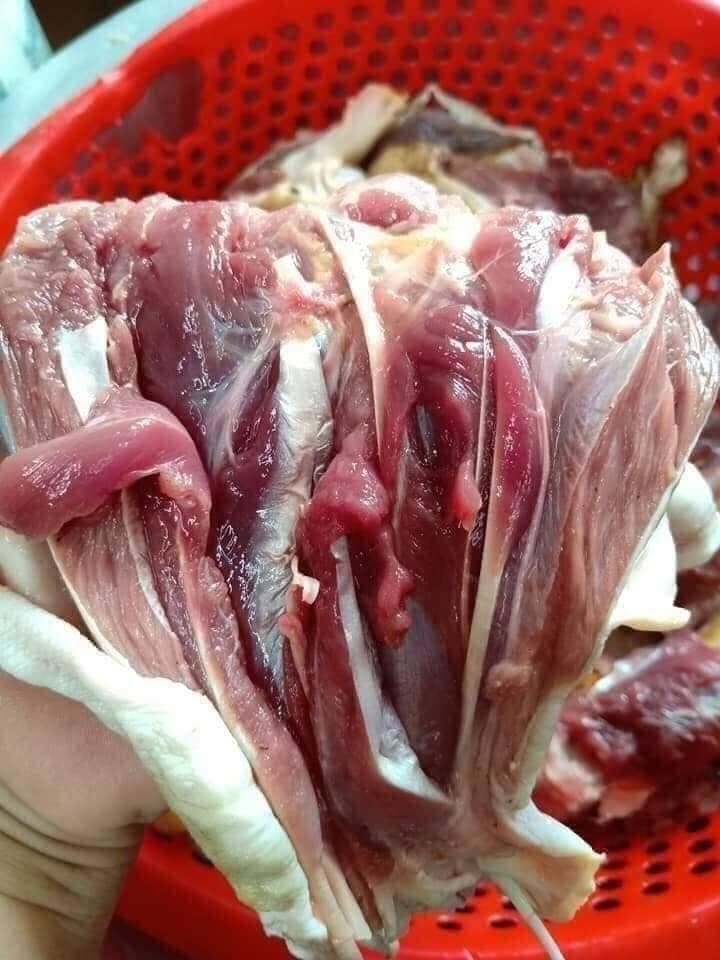 Bí mật loại thịt gà lạ chuyên nấu giả cầy gây sốt khắp chợ-1