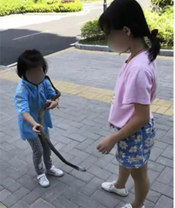 Ông bố rèn sự gan dạ cho 2 cô con gái: Tác dụng đến đâu thì chưa biết nhưng hàng xóm nhìn thấy co giò chạy vì sợ-1