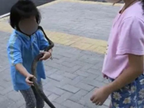 Ông bố rèn sự gan dạ cho 2 cô con gái: Tác dụng đến đâu thì chưa biết nhưng hàng xóm nhìn thấy co giò chạy vì sợ