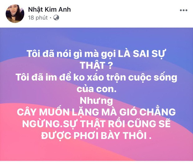 Chồng cũ phản hồi khi bị tố bạo hành Nhật Kim Anh-3